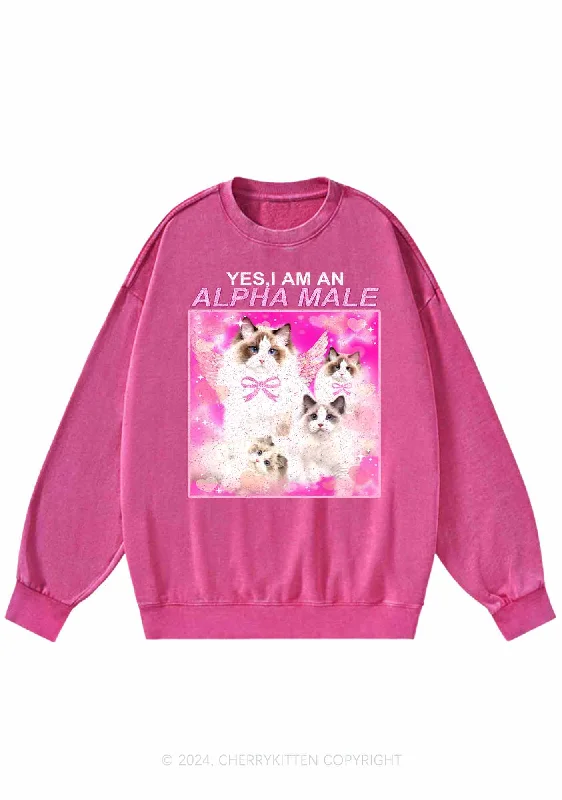 Alpha Male Y2K Washed Sweatshirts Cherrykitten