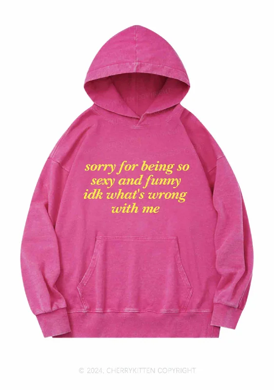 Sorry For Being So Funny Y2K Washed Hoodie Cherrykitten