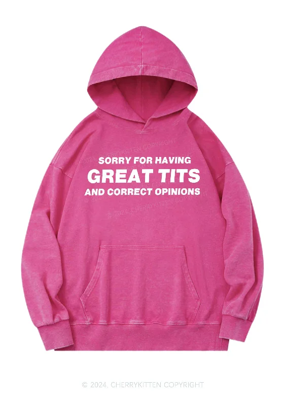 Sorry For Having Correct Opinions Y2K Washed Hoodie Cherrykitten