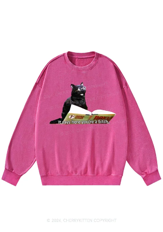 It Says Here You're A Bixxh Y2K Washed Sweatshirts Cherrykitten