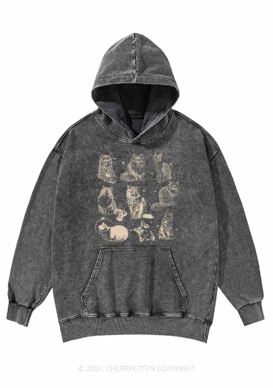 Retro Kitten Y2K Washed Hoodie Cherrykitten